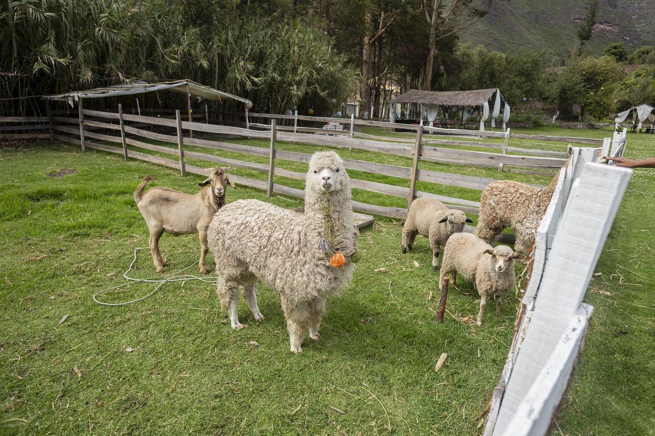 The Sacred Valley Lodge - Hotel Cusco Yucay 外观 照片