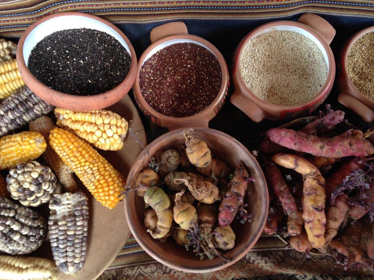 The Sacred Valley Lodge - Hotel Cusco Yucay 外观 照片